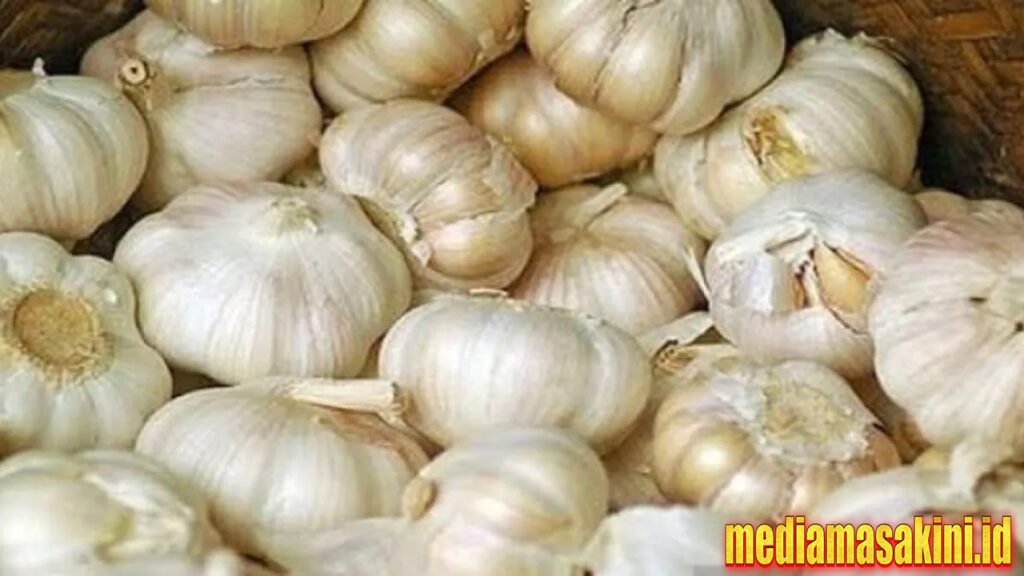 Kemendag: 21 ribu ton bawang putih impor masuk pada Maret 2025