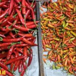 Pedagang sebut harga bahan pokok di Malang stabil saat Lebaran